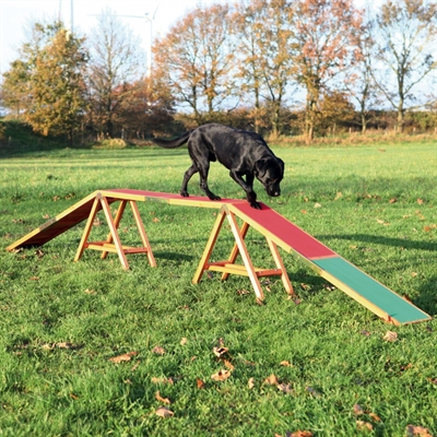 TRIXIE\u0020DOG\u0020ACTIVITY\u0020AGILITY\u0020HONDENLOOP\u0020456X64X30\u0020CM TRIXIE\u0020DOG\u0020ACTIVITY\u0020AGILITY\u0020HONDENLOOP\u0020456X64X30\u0020CM