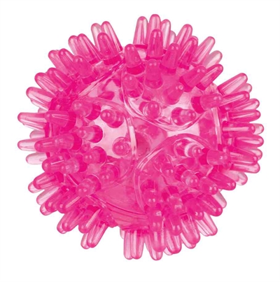 TRIXIE\u0020EGELBAL\u0020DRIJVEND\u0020TPR\u0020KNIPPERLICHT\u0020ASSORTI\u00205X5X5CM\u00203ST