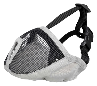 TRIXIE\u0020MUILKORF\u0020VOOR\u0020RASSEN\u0020MET\u0020PLATTE\u0020NEUS\u0020POLYESTER\u0020GRIJS\u0020S\u002031\u0020CM\u00202\u0020ST TRIXIE\u0020MUILKORF\u0020VOOR\u0020RASSEN\u0020MET\u0020PLATTE\u0020NEUS\u0020POLYESTER\u0020GRIJS\u0020S\u002031\u0020CM\u00202\u0020ST