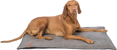 TRIXIE\u0020BE\u0020NORDIC\u0020HONDEN\u0020LIGMAT\u0020F\u00D6HR\u0020DONKERGRIJS\u002070X55\u0020CM