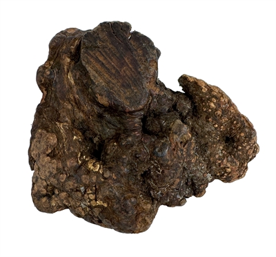 DOG\u0020WOODZZZ\u0020KAUWWORTEL\u0020MET\u0020OLIJFOLIE\u0020M\u0020301\u002D500\u0020GR