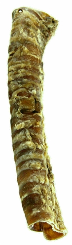 PETSNACK\u0020LUCHTPIJP\u00202,5\u0020KG