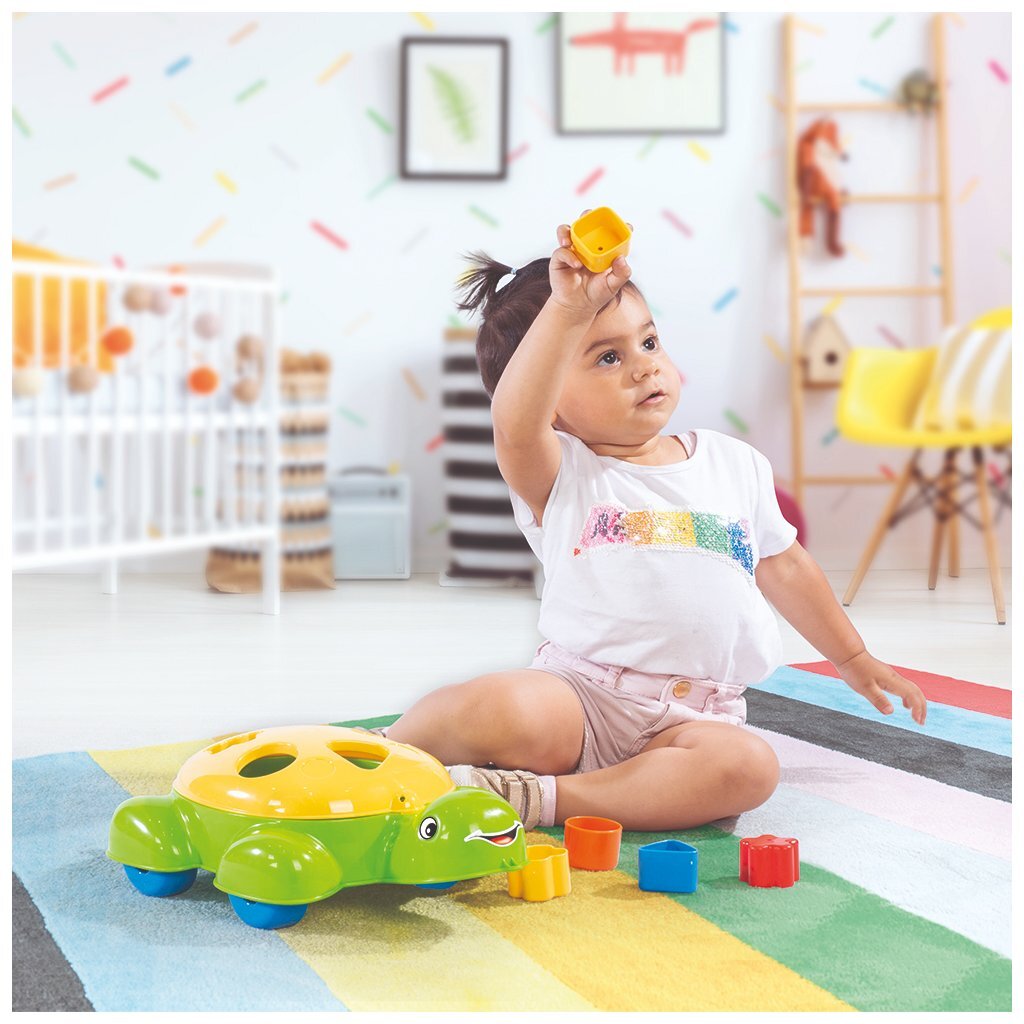 Dolu\u0020Vormenstoof\u0020Schildpad