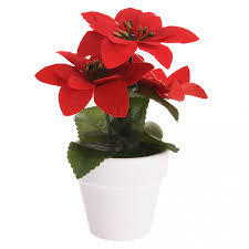Kerstplant\u0020Rood\u0020Pot\u0020Keramiek