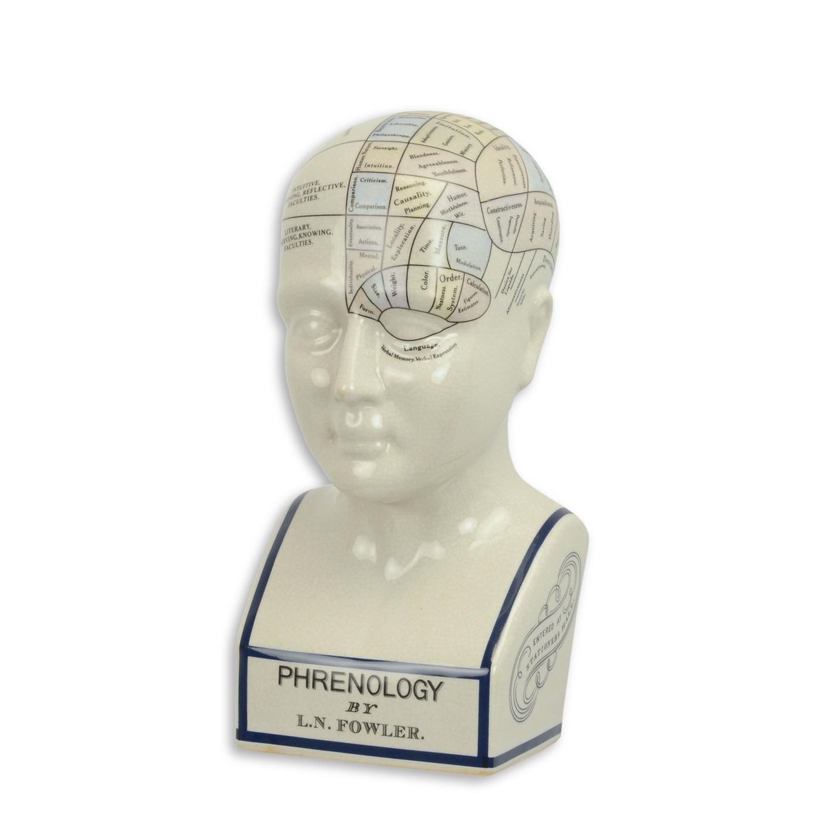 A\u0020PORCELAIN\u0020PHRENOLOGY\u0020HEAD\u0020\u002F\u0020COLOURED