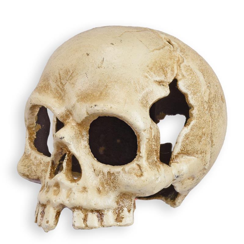 A\u0020CAST\u0020IRON\u0020SKULL\u0020TEA\u0020LIGHT\u0020HOLDER,\u0020OLD\u0020WHITE