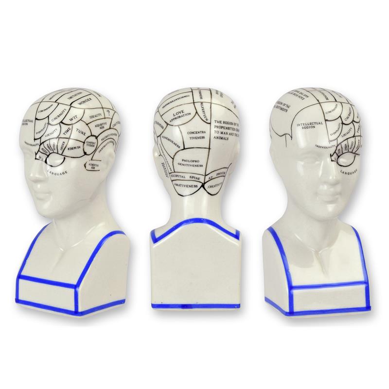 A\u0020PORCELAIN\u0020PHRENOLOGY\u0020HEAD
