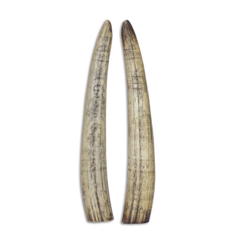 A\u0020RESIN\u0020SCRIMSHAW\u0020WHALE\u0020TOOTH