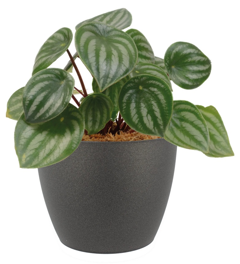 Bloempot\u0020BERLIJN\u0020rond\u002030\u0020cm\u0020Donkergrijs