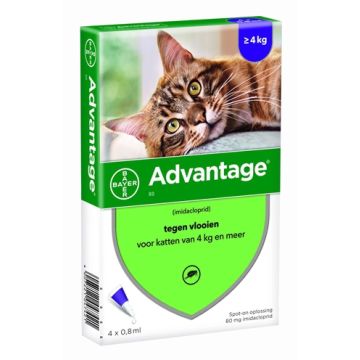 BAYER ADVANTAGE KAT 4 PIPETTEN 80 VANAF 4 KG 4 PIP