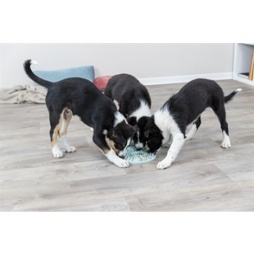 TRIXIE JUNIOR LIKPLAAT MINTGROEN 21X21 CM