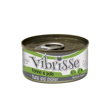 VIBRISSE CAT TONIJN / KIP 24X70 GR