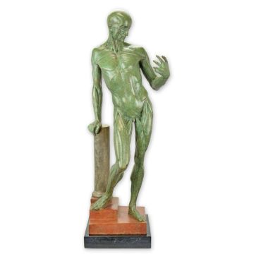Bronzen anatomische studie van een gevild mannetje