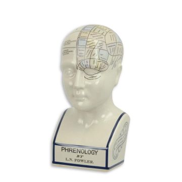 A PORCELAIN PHRENOLOGY HEAD / COLOURED