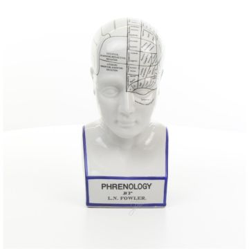 A PORCELAIN PRENOLOGY HEAD