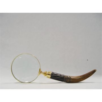 A MAGNIFYING-GLASS
