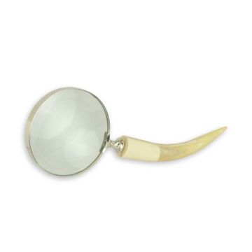 A MAGNIFYING-GLASS
