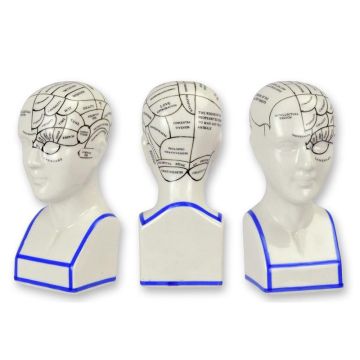 A PORCELAIN PHRENOLOGY HEAD