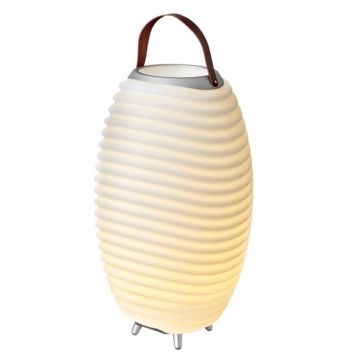 KOODUU Synergy 65 Stereo Luidspreker, LED Licht, Wijnkoeler en Bluetooth Geluidssysteem