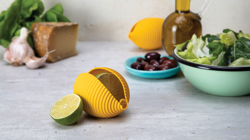 Apenzaken\u0020Conchiglie