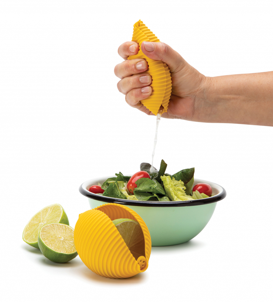 Apenzaken\u0020Conchiglie