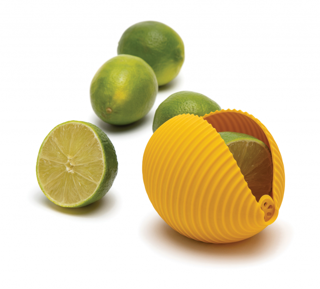 Apenzaken\u0020Conchiglie