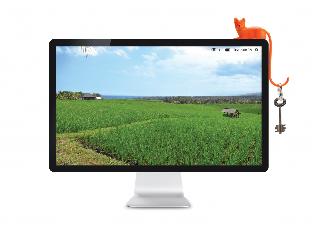 Apenzaken\u0020Gemberkat Apenzaken\u0020Gemberkat