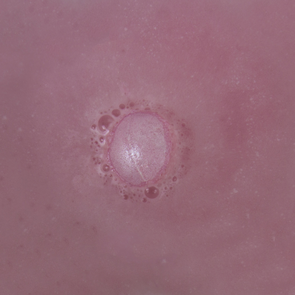 Gift\u0020Republic\u0020Rozen\u0020Badbommen