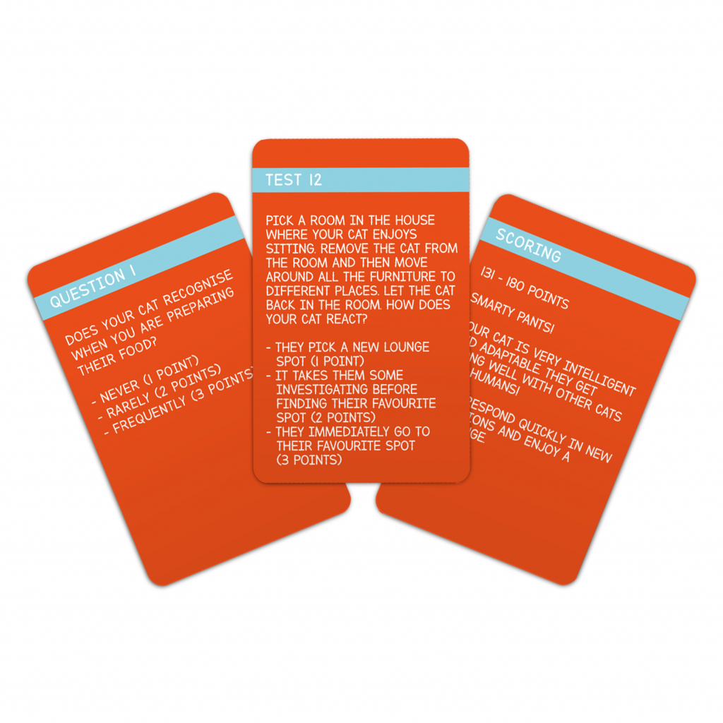 Gift\u0020Republic\u0020Katten\u0020IQ\u0020Test