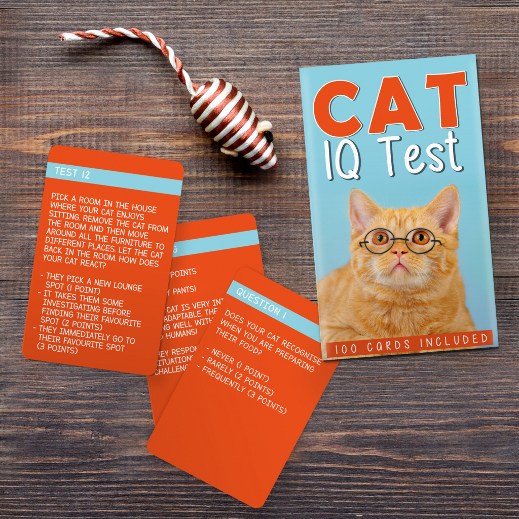 Gift\u0020Republic\u0020Katten\u0020IQ\u0020Test