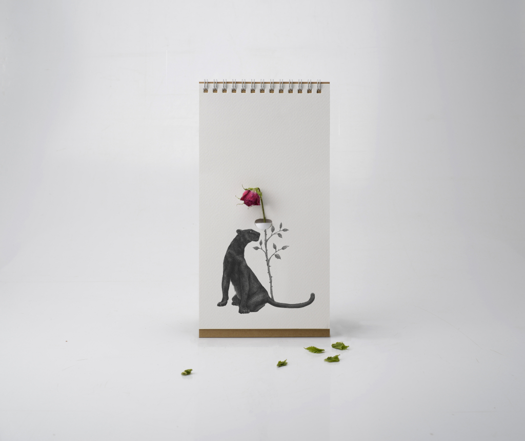 Spextrum\u0020Flip\u0020Vaas\u0020\u002D\u0020wild