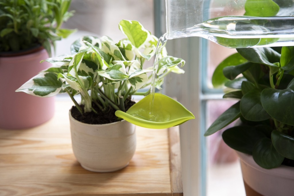 Peleg\u0020Design\u0020Leaflow\u0020wordt\u0020vertaald\u0020naar\u0020het\u0020Nederlands.