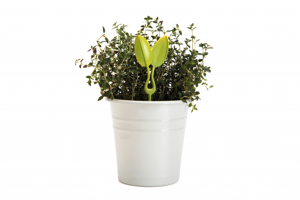 Peleg\u0020Design\u0020Leafers