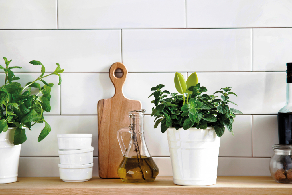 Peleg\u0020Design\u0020Leafers