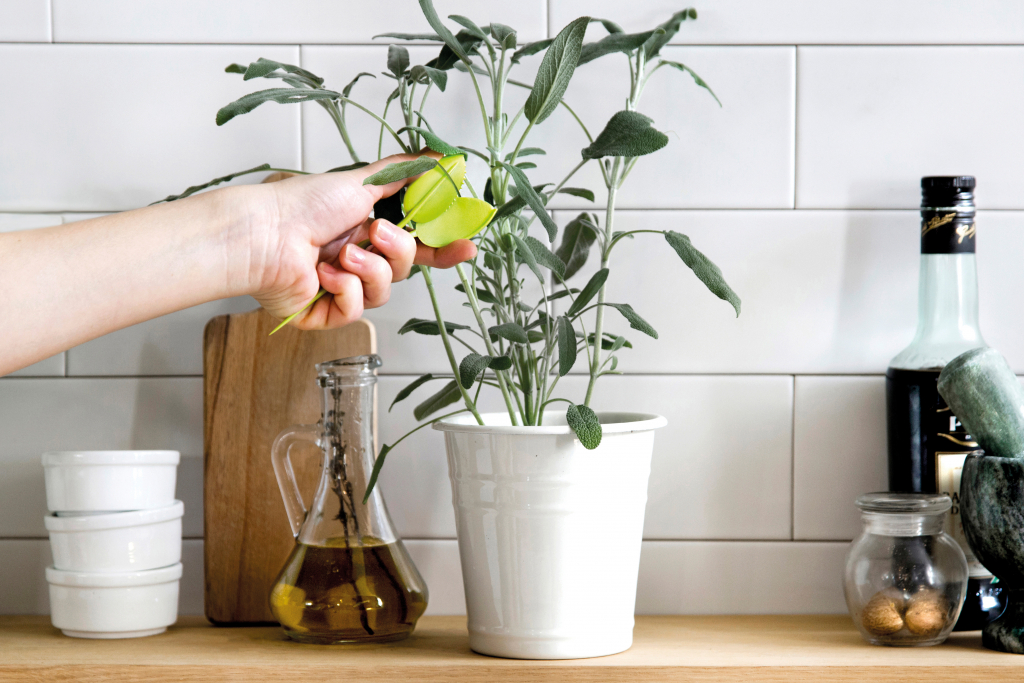 Peleg\u0020Design\u0020Leafers