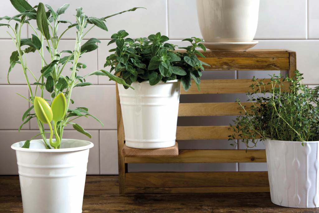 Peleg\u0020Design\u0020Leafers