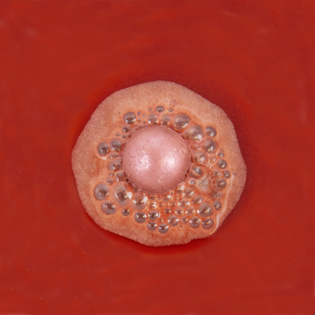 Gift\u0020Republic\u0020Gl\u00FChwein\u0020Badbommen