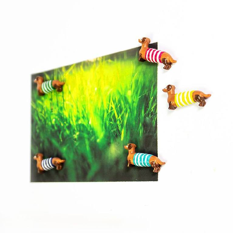 Trendform\u0020Magneten\u0020Waldi\u0020\u002D\u0020set\u0020van\u00205