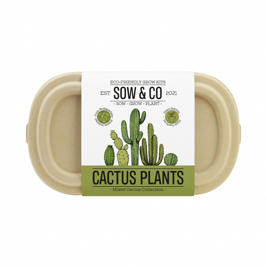 Gift\u0020Republic\u0020Cactus\u0020Planten