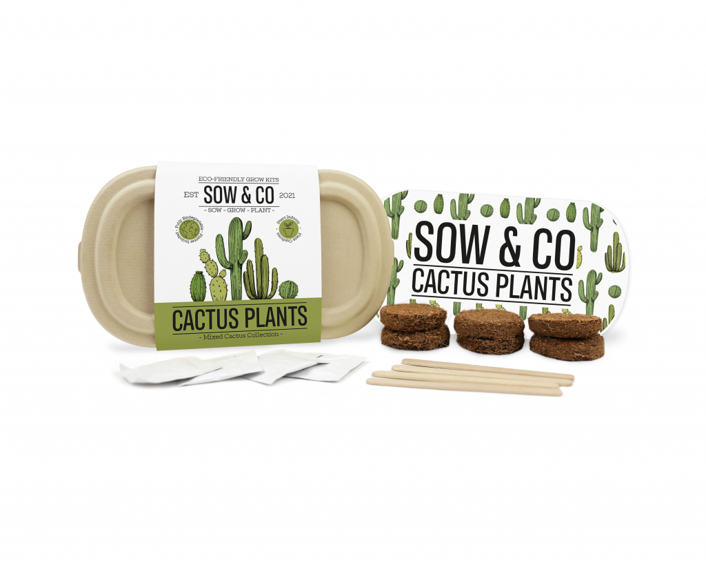 Gift\u0020Republic\u0020Cactus\u0020Planten