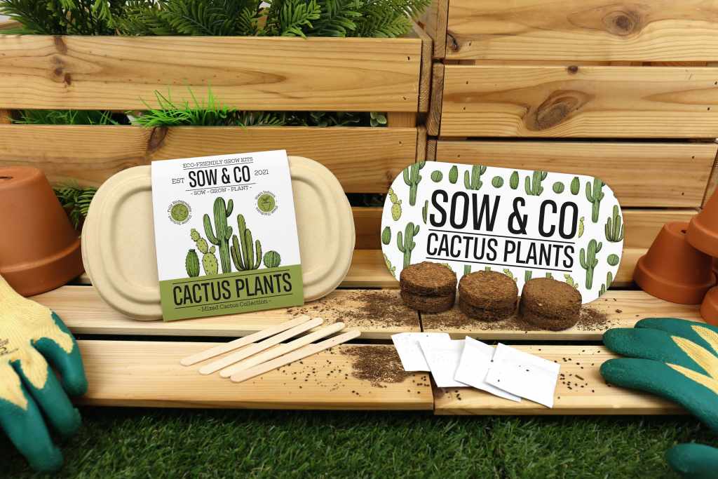 Gift\u0020Republic\u0020Cactus\u0020Planten