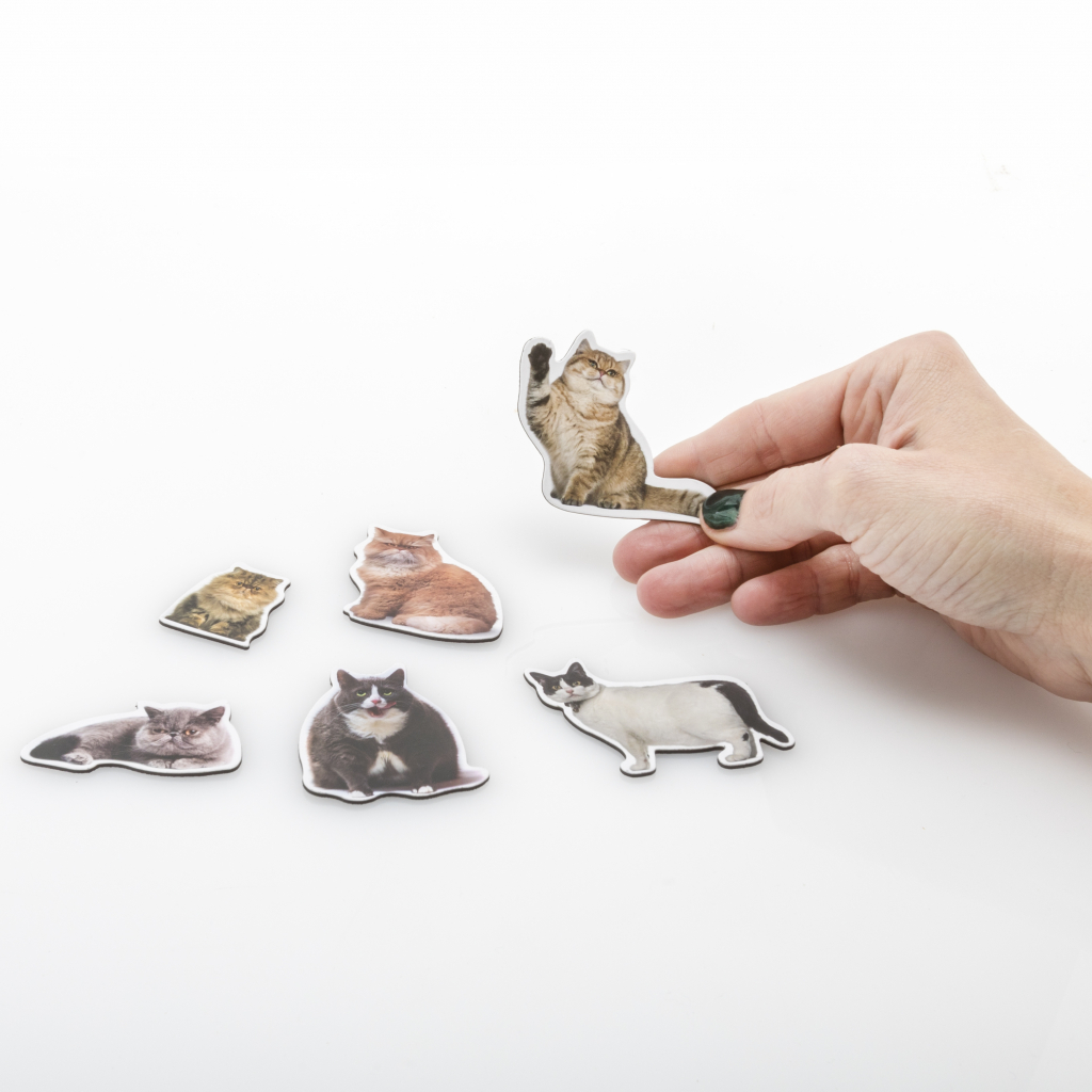 Mosterd\u0020Dikke\u0020Kat\u0020Magneten\u0020\u002D\u002012\u0020stuks