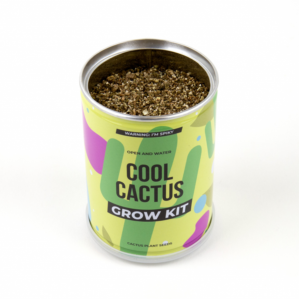 Gift\u0020Republic\u0020Coole\u0020Cactus