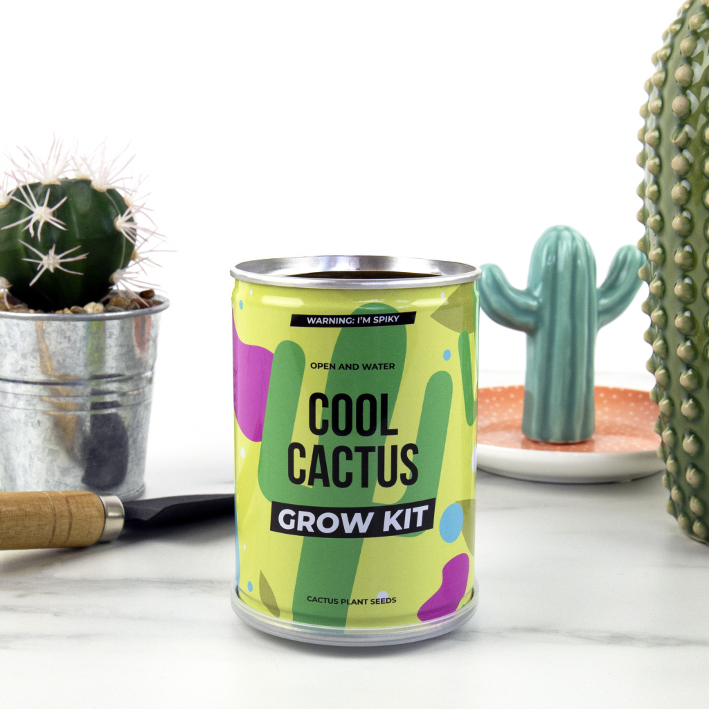 Gift\u0020Republic\u0020Coole\u0020Cactus