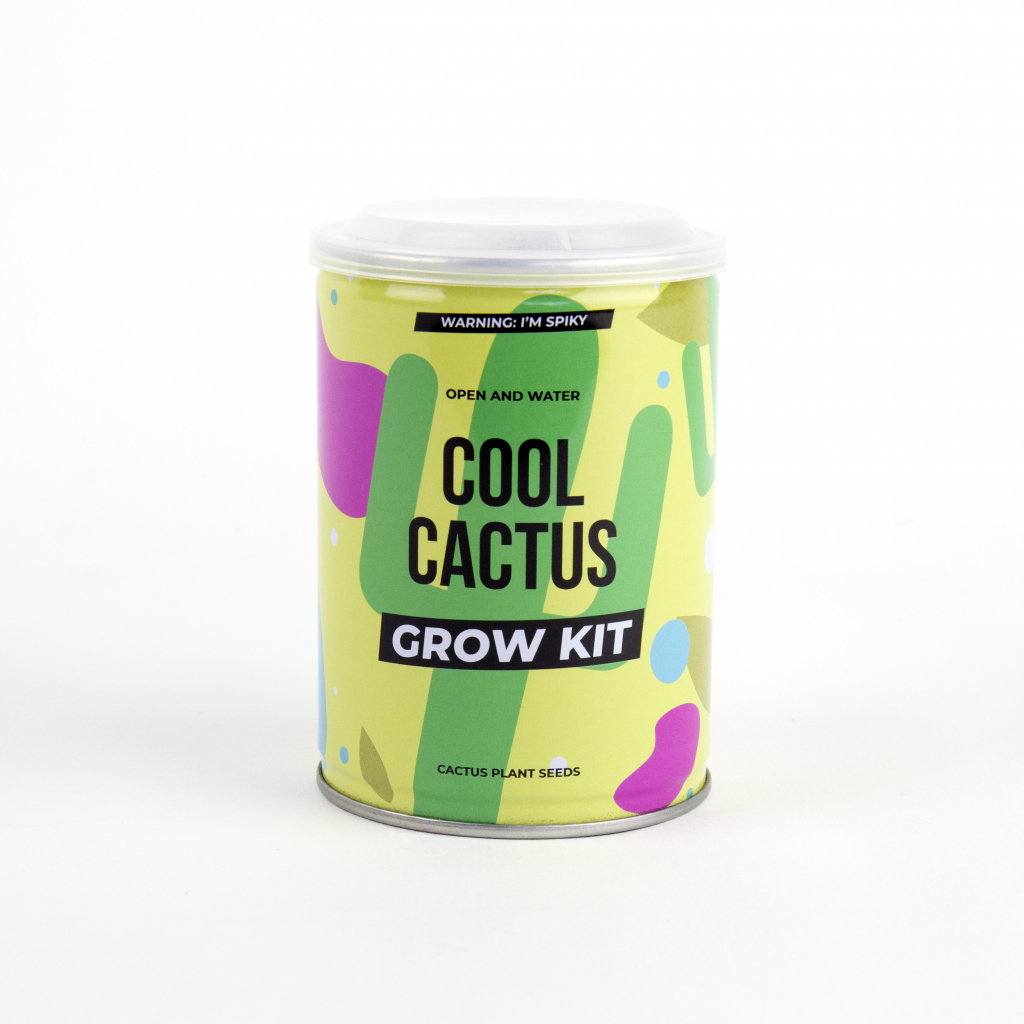 Gift\u0020Republic\u0020Coole\u0020Cactus