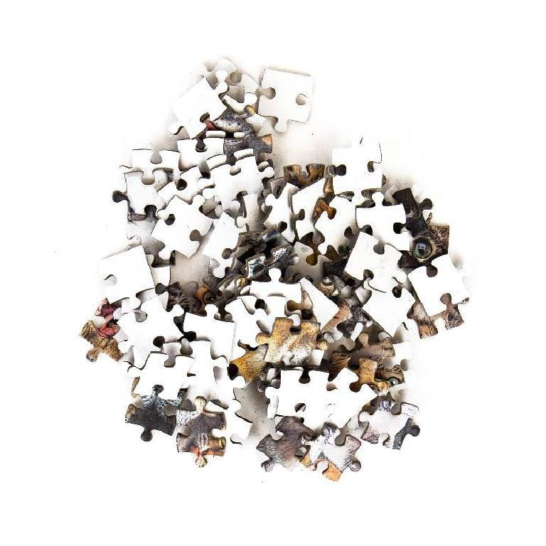 Gift\u0020Republic\u0020Pocket\u0020Puzzles\u0020\u002D\u0020Gekke\u0020Katten