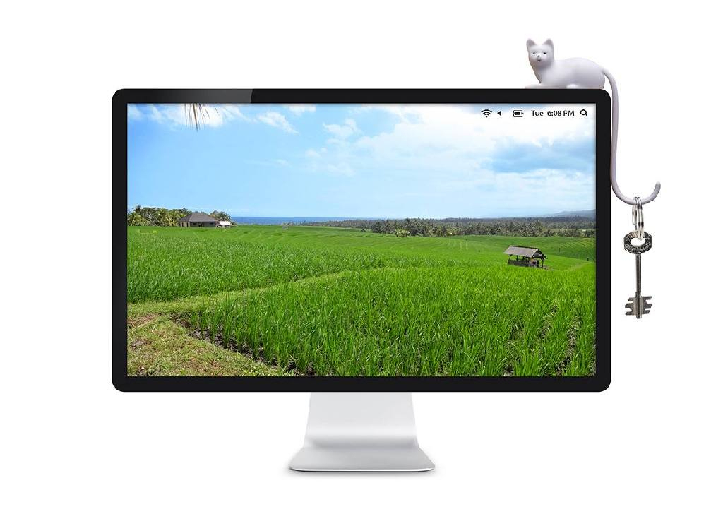 Apenstreken\u0020Gemberkat\u0020\u002D\u0020Wit Apenstreken\u0020Gemberkat\u0020\u002D\u0020Wit