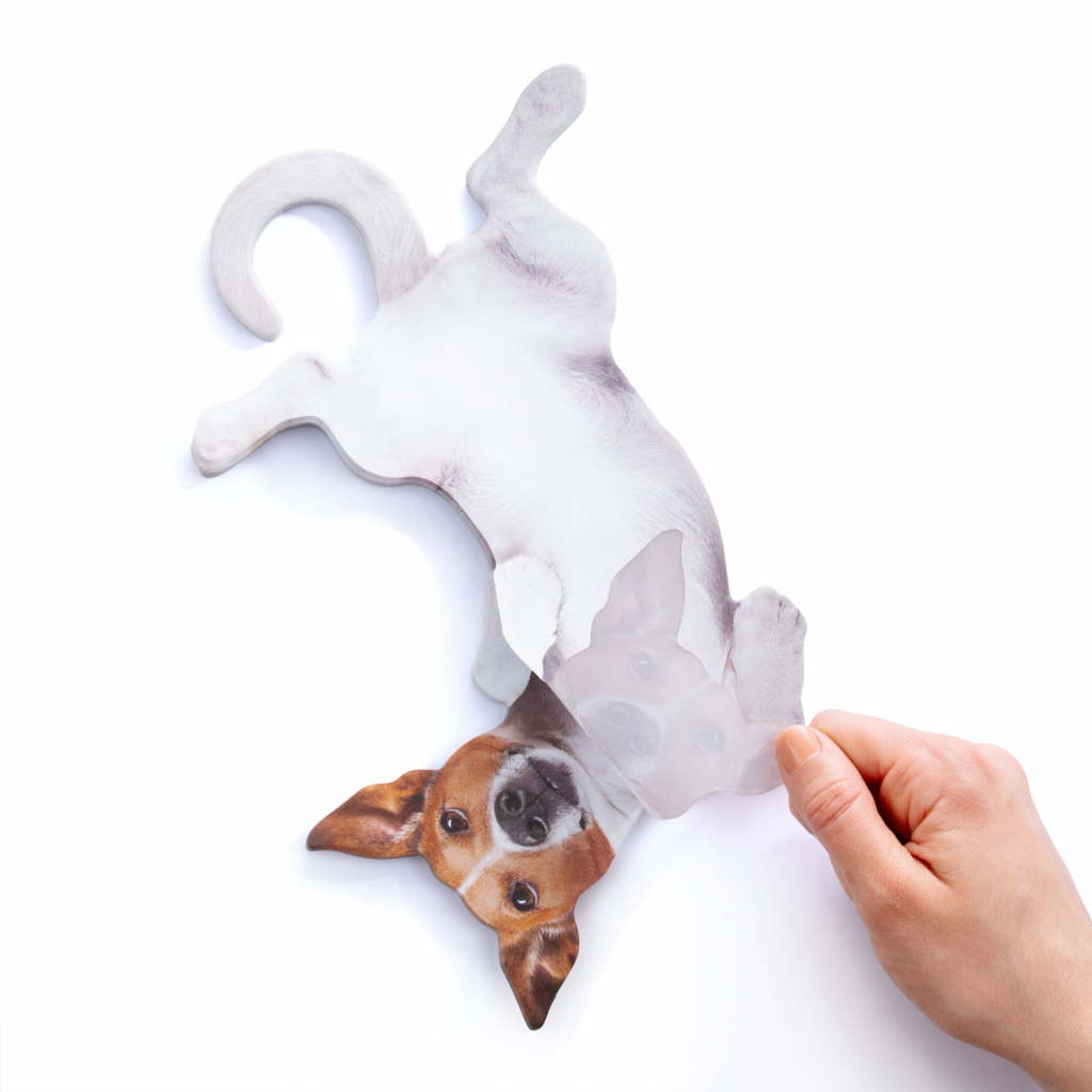 Mosterd\u0020Hond\u0020Hangende\u0020Notities Mosterd\u0020Hond\u0020Hangende\u0020Notities