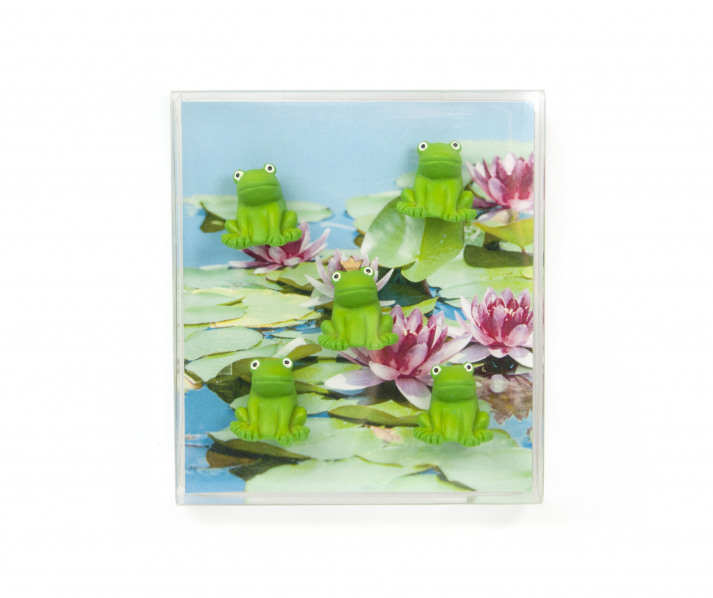 Trendform\u0020Magnetische\u0020Kikker\u0020\u002D\u0020set\u0020van\u00205\u0020stuks