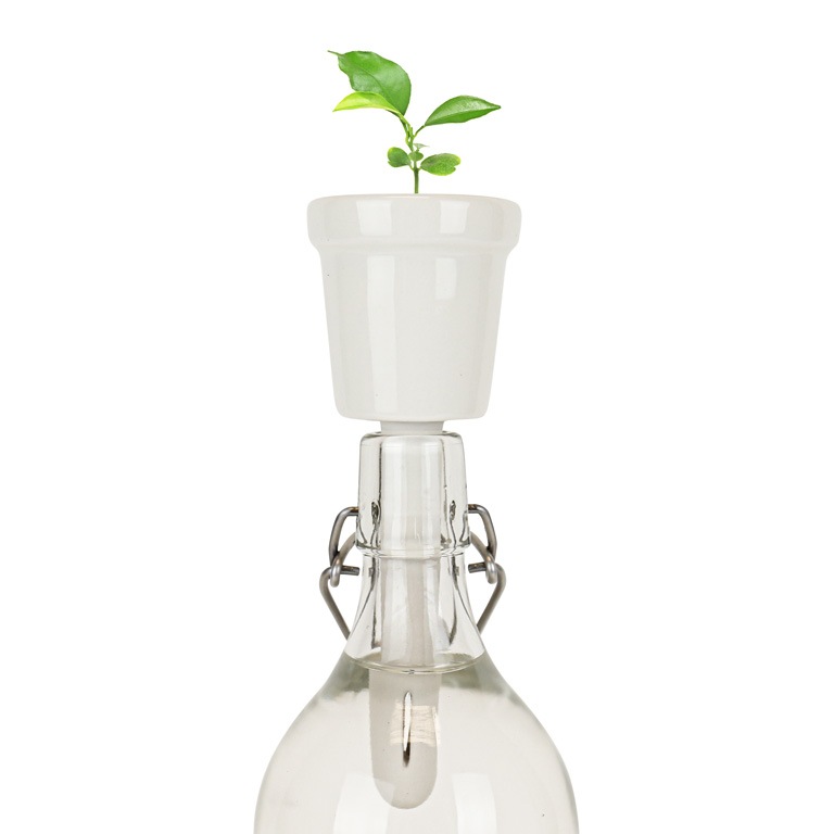 Gift\u0020Republic\u0020Botanical\u0020Bottles\u0020\u002D\u0020Koffie